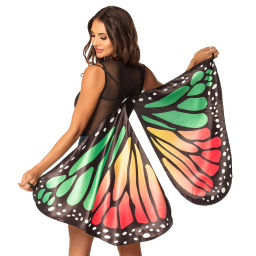 Křídla motýl barevná