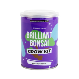Grow tin - Bonsai