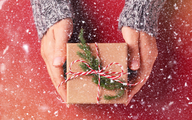 Pohodové doručení do Vánoc a vánoční provoz e-shopu