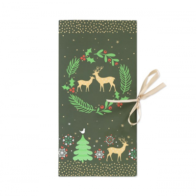 Levně Dárková krabička - Vánoční zelená Albi