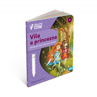                             Kniha Víla a princezna                        